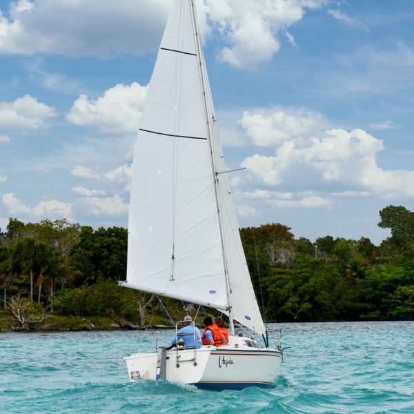 White Dory - immagine 2