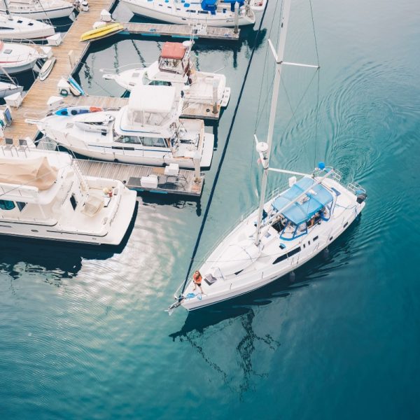 White Dory